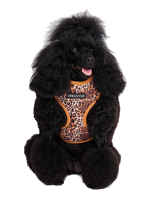 Cheetah Print Harness